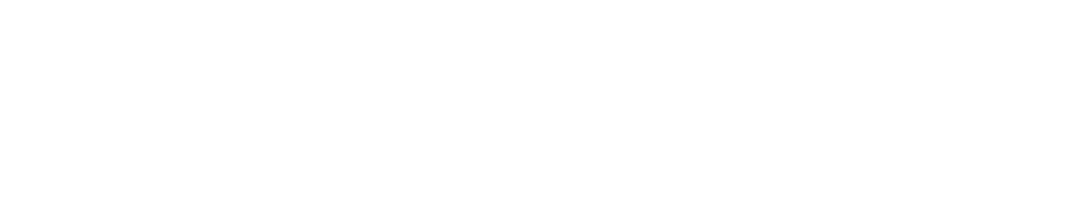 株式会社カイゼン・ニューロン